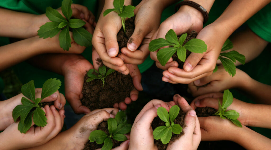 manos de niños sosteniendo tierra y plantas