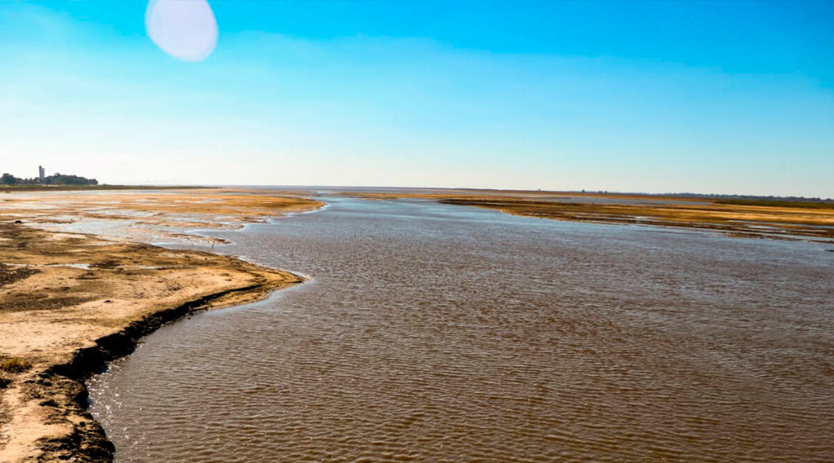 Columna de cultura ambiental: “El Paraná no es sólo un curso de agua, es parte de nuestra identidad”
