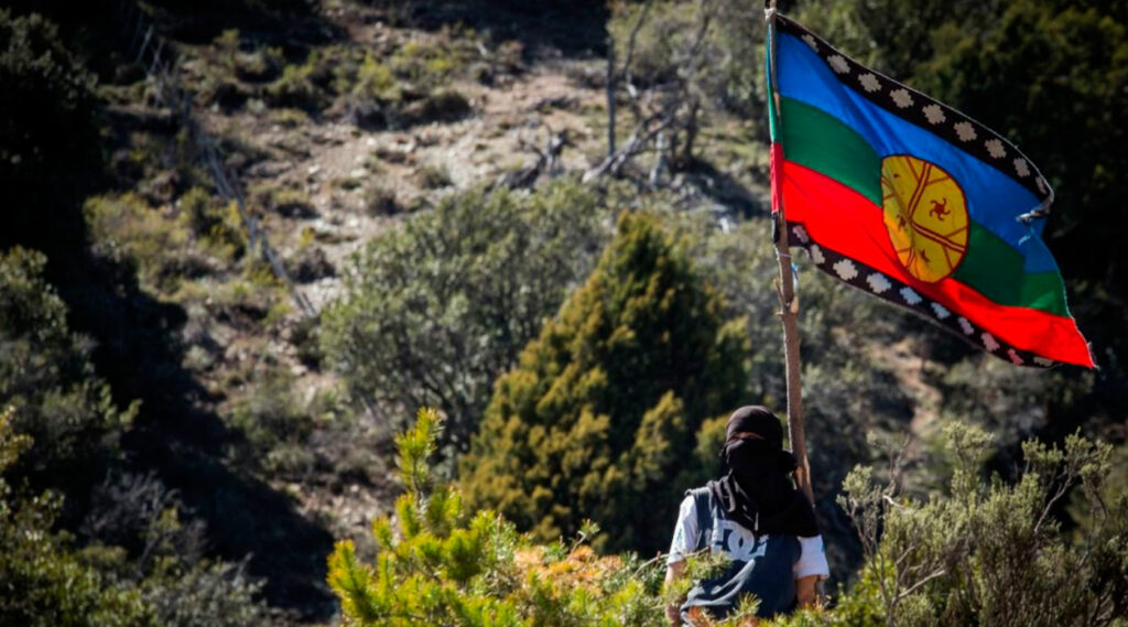 Indígena mapuche de espaldas entre la espesura, con una bandera de su comunidad flamendo al viento.