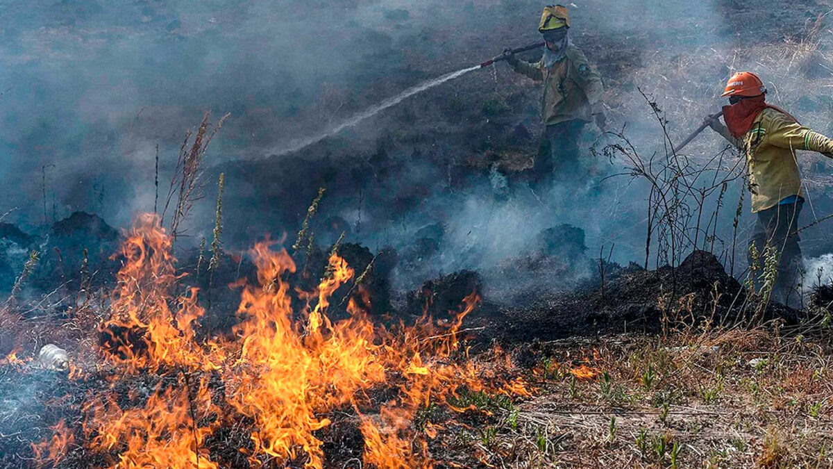 Los incendios ya quemaron casi 800 mil hectáreas en Corrientes: “Jamás hemos vivido algo así”