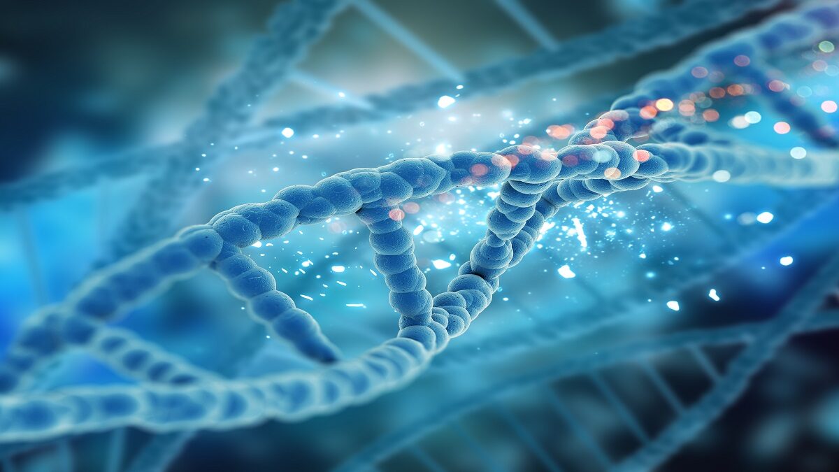 <strong>El hito del genoma humano completo</strong>