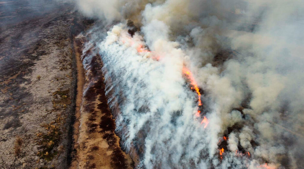 Vista aérea de los incendios en el Delta del Paraná.