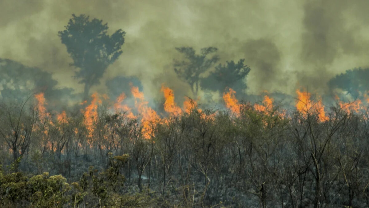 Se agudizan los incendios en las islas: “Hay gente que entra con la intención de prender fuego”