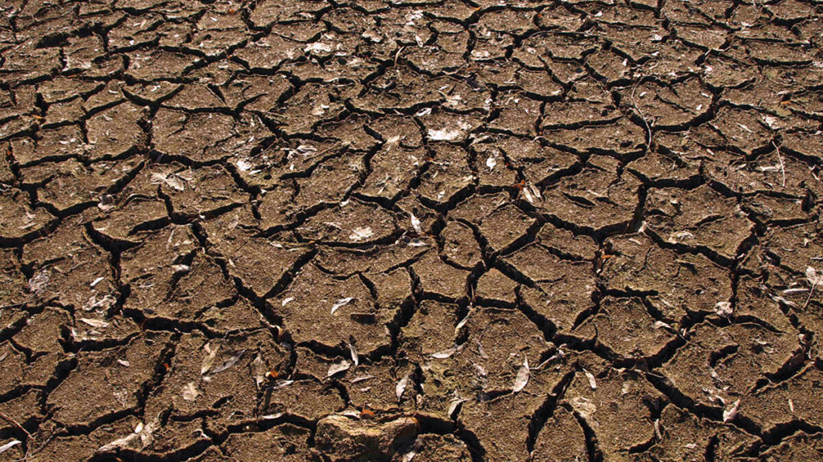 La sequía afecta la producción: “Hay zonas donde no se ha podido sembrar un grano”