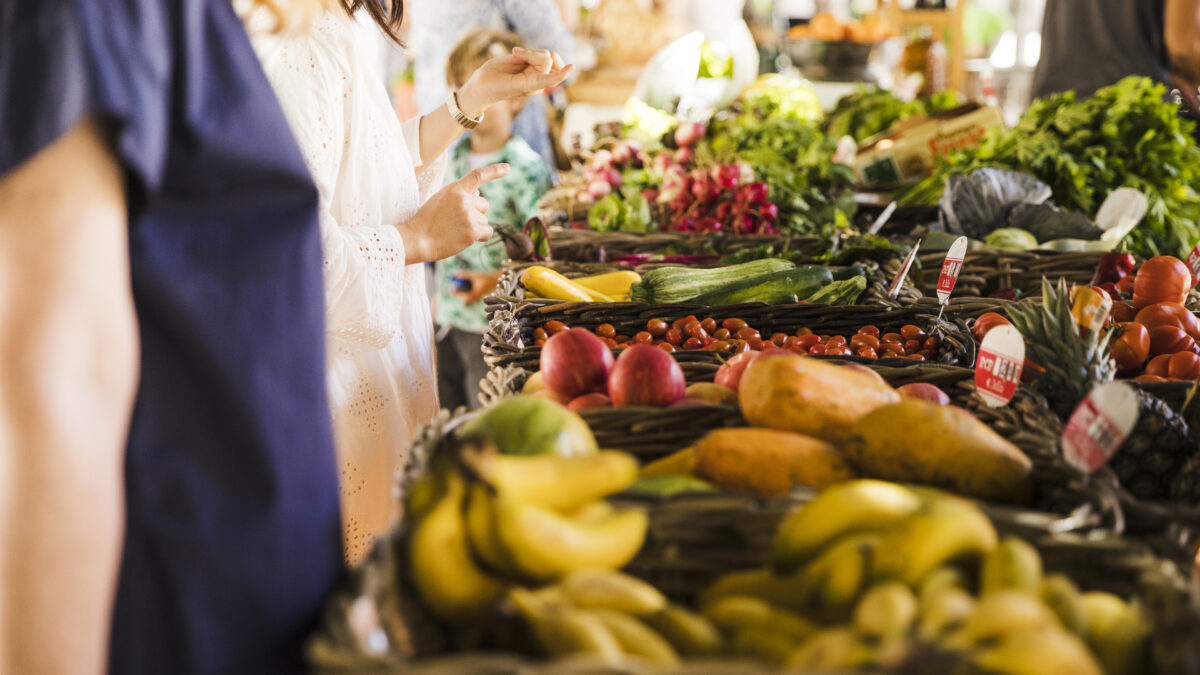 Feria de alimentación saludable: “Hacia la soberanía alimentaria”