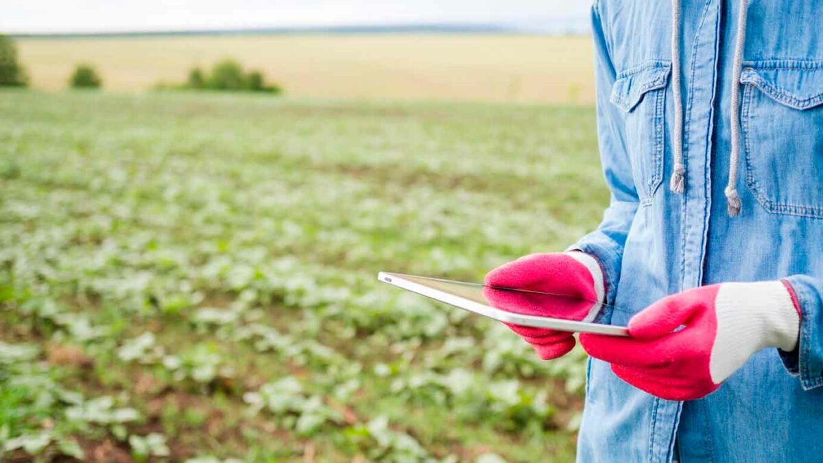 Macarena Dalzotto: ¿Qué hace un Ingeniero Agrónomo?