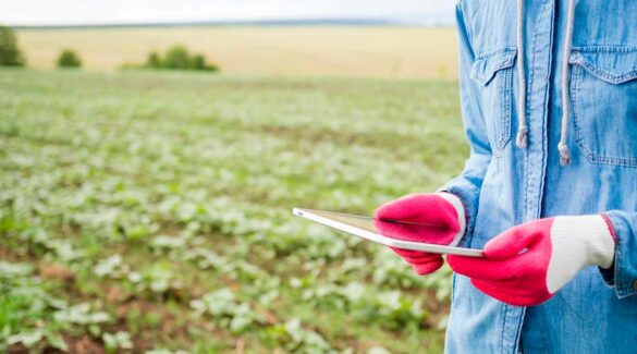 Mujer sosteniendo una tableta junto a un campo agrícola