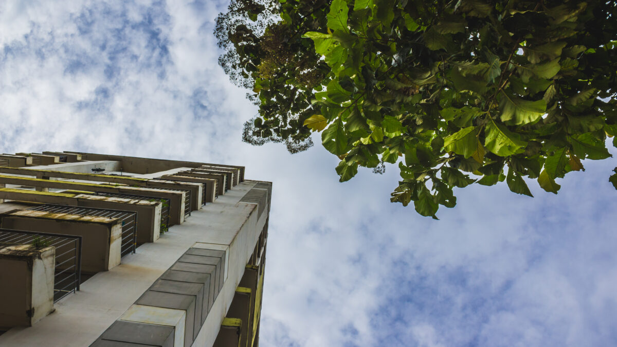 Diplomatura Superior en Gestión Ambiental del Espacio Urbano