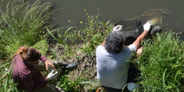 Dos investigadores tomando muestras de un arroyo