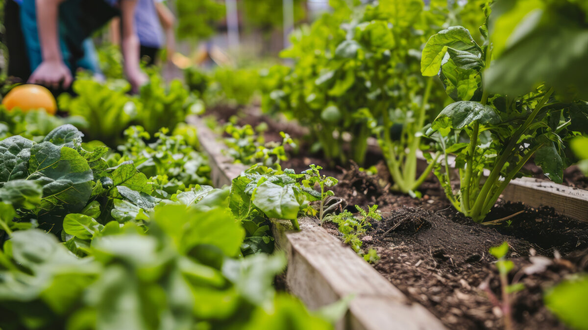 Seminario de posgrado sobre sustentabilidad y soberanía alimentaria