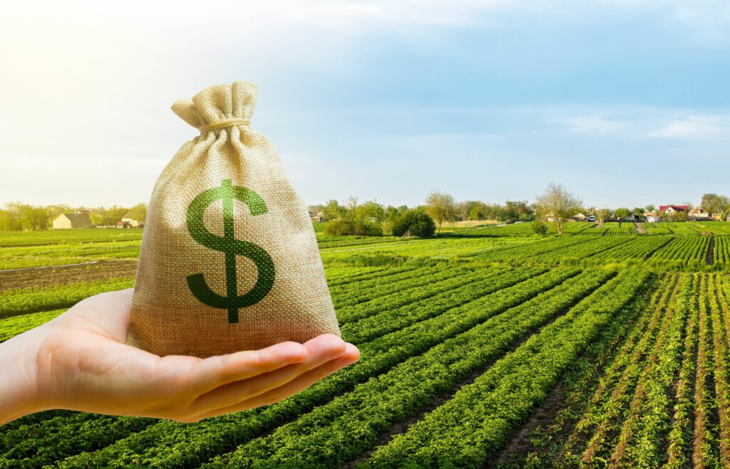 Mano con una bolsa con el signo pesos en primer plano y de fondo un campo sembrado