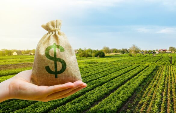 Mano con una bolsa con el signo pesos en primer plano y de fondo un campo sembrado