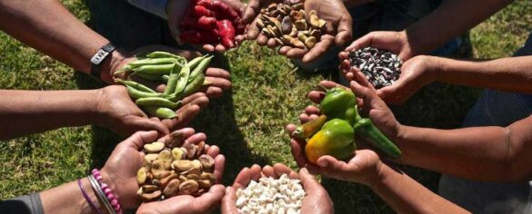 Soberanía Alimentaria