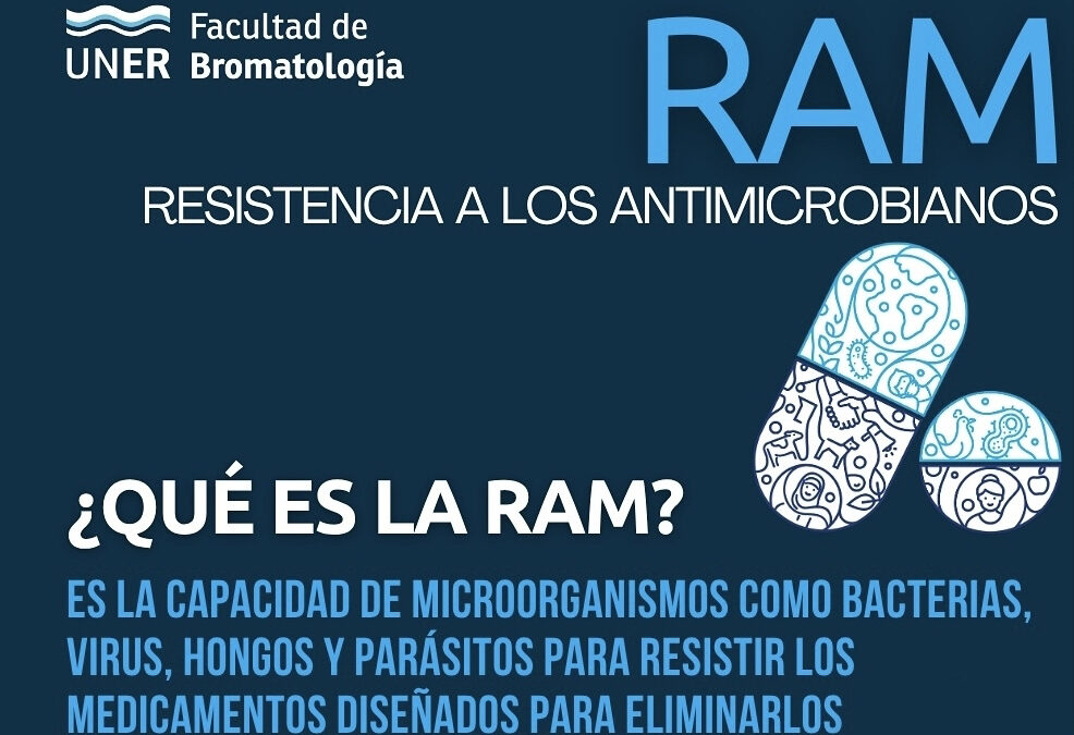 Urgencia de fortalecer las prácticas responsables en torno a los antimicrobianos