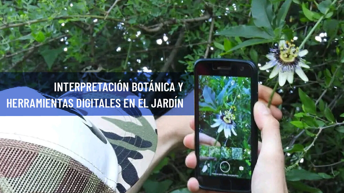 Taller de formación en interpretación botánica en Oro Verde