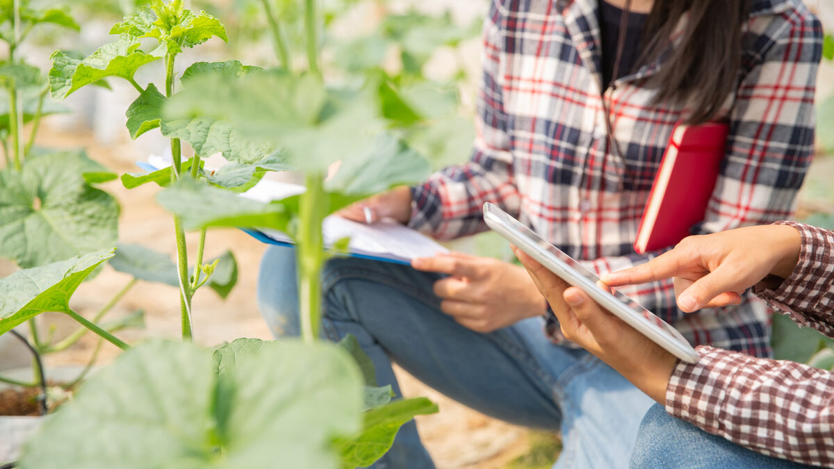 Clases abiertas sobre plataformas digitales en el agro y calidad de cereales