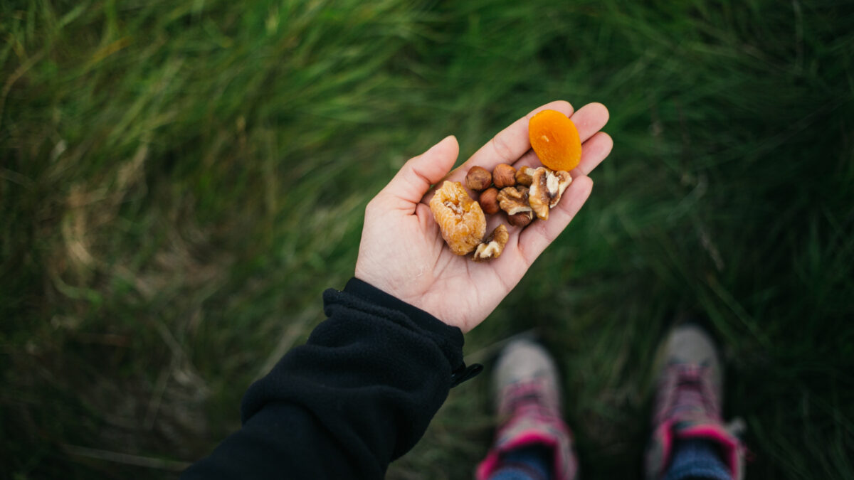 Se realizarán las II Jornadas de Alimentos Silvestres: Innovación y Ciencia para el Desarrollo Sostenible