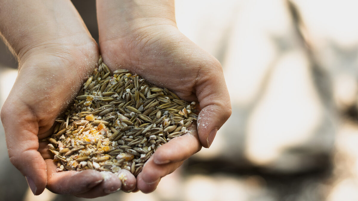 Seminario de posgrado sobre Insumos y servicios para las carreras de Agronegocios y Alimentos